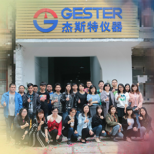 Looking at the past two decades, vision of the new Future of GESTER.